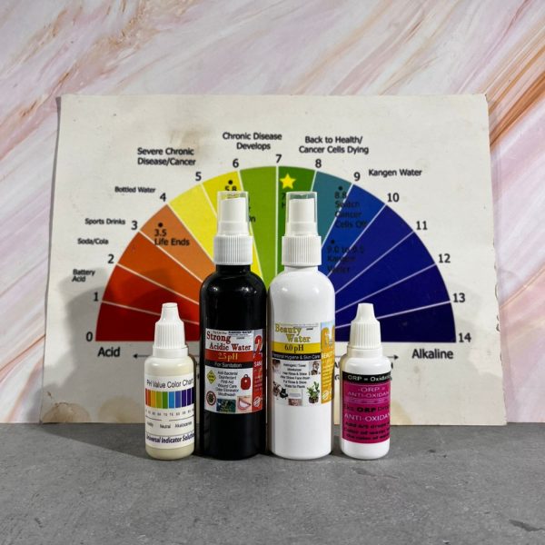 Enagic Kangen water Testing kit - Image 4